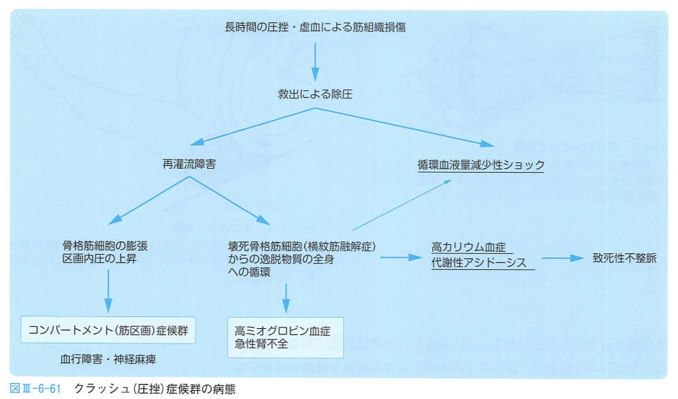 クラッシュ症候群の病態