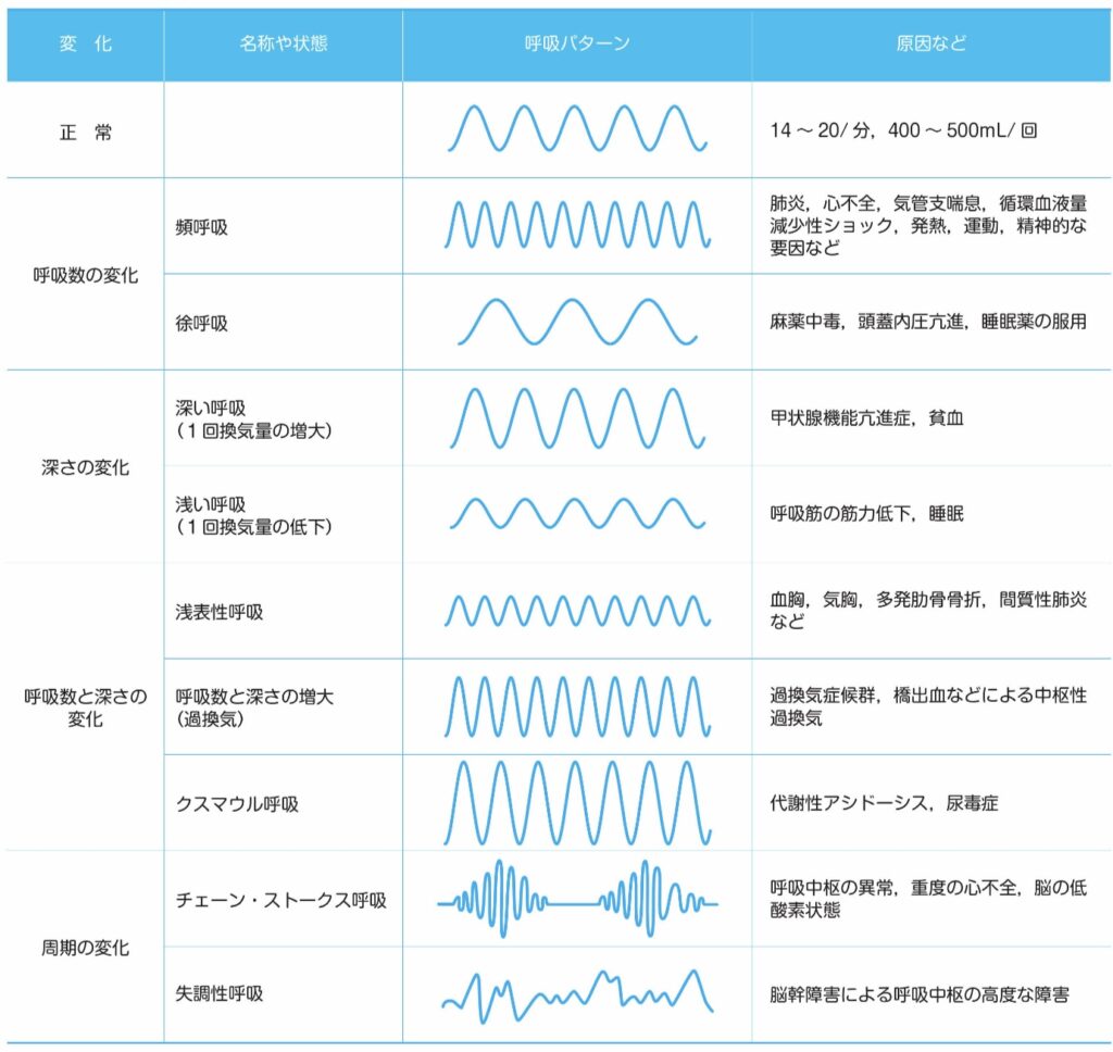 呼吸パターン